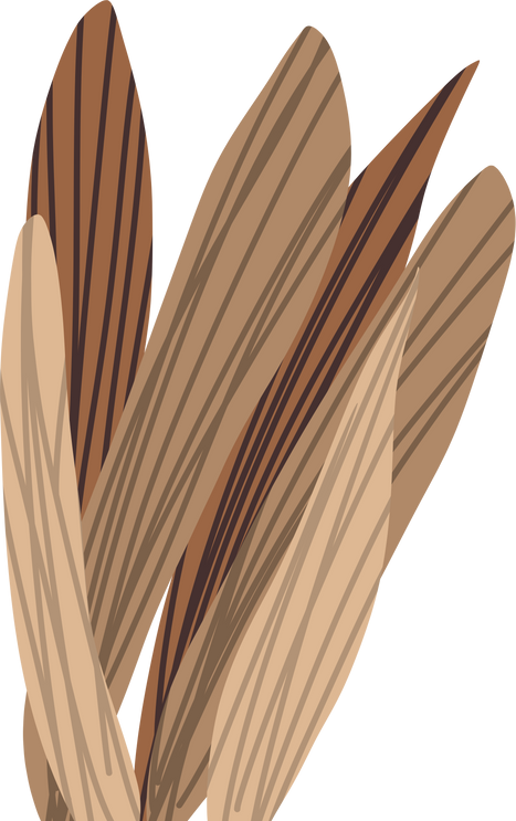 Aesthetic leaves brown